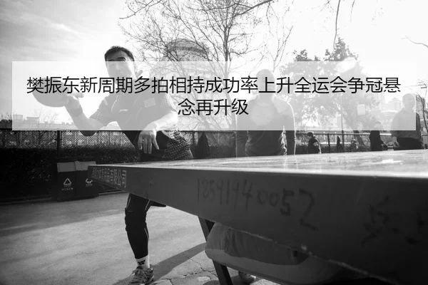 樊振东新周期多拍相持成功率上升全运会争冠悬念再升级